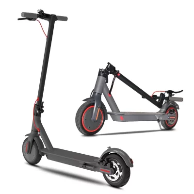 The electric scooter